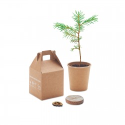 Kit de plantation d'arbre à pin