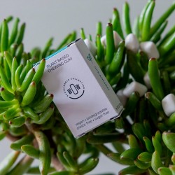Chewing gum à base de plantes